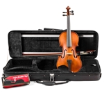 Palatino 4/4 Size Violin