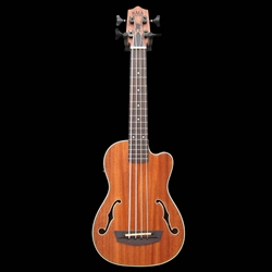 Journeyman Acoustic-Electric U•BASS with F-Holes, Deluxe Gig Bag